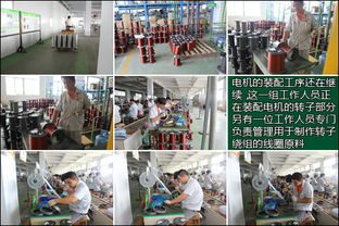 探訪綠源山東工廠 以嚴苛工序與尖端科技鑄就卓越產品